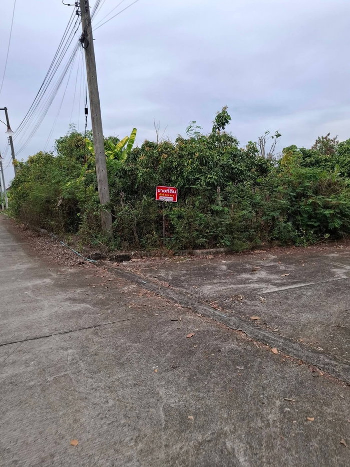 picture Land for Sales Please Contac 093 1387146 - 2/4
