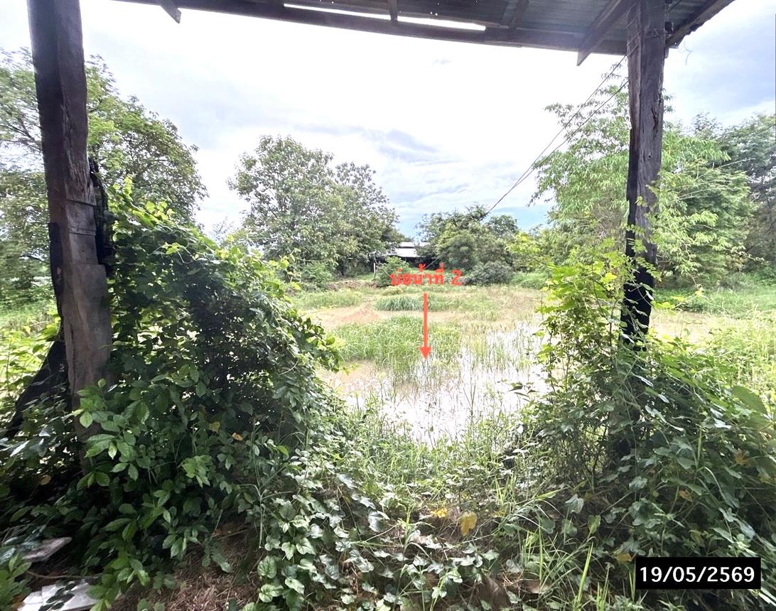 รูป ที่ดินว่างเปล่า 3745 ตร.วา เมืองกาฬสินธุ์ กาฬสินธุ์ 3M - รูปที่ 12/18