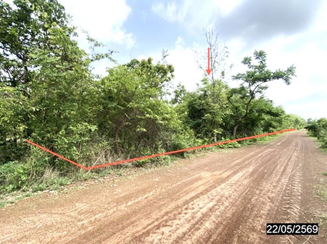 picture LAND 4800 Sq.w. Thung Fon Udon Thani for 1.9M - 4/24
