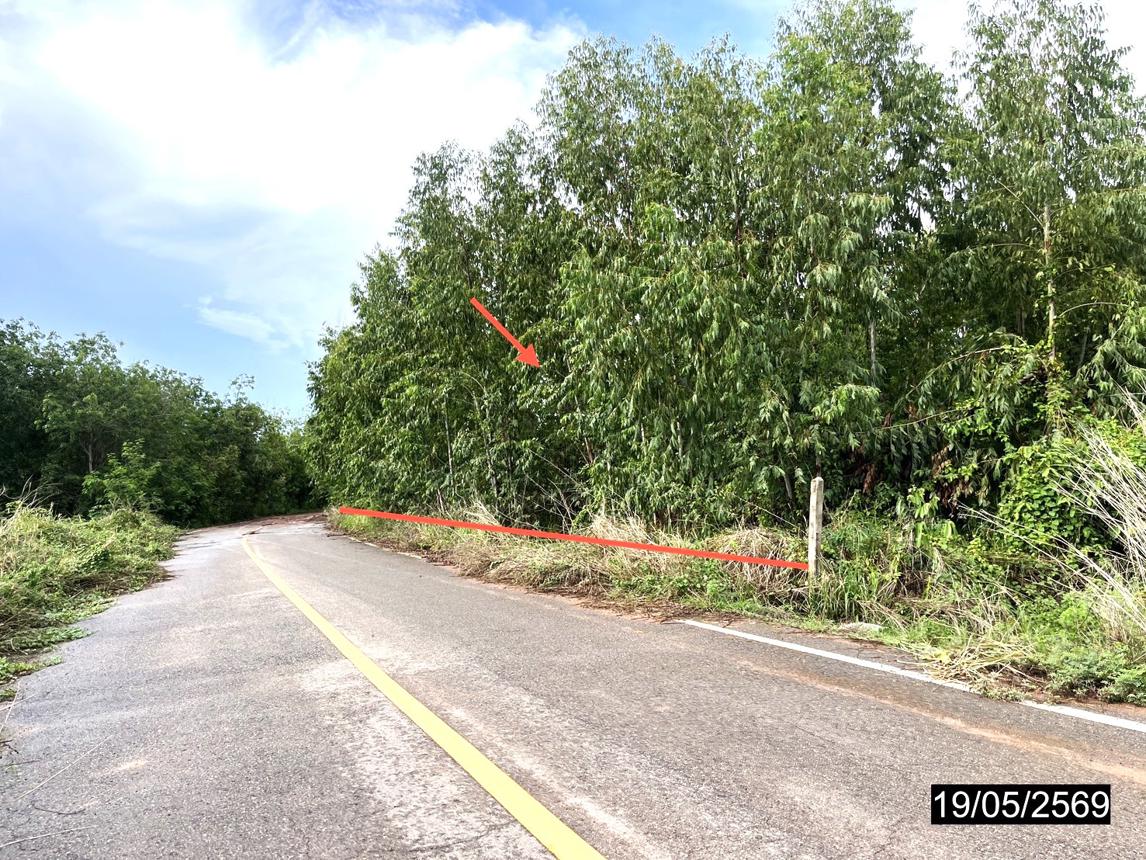 รูป ที่ดินว่างเปล่า 2478 ตร.วา เมืองกาฬสินธุ์ กาฬสินธุ์ 735,000 - รูปที่ 8/16
