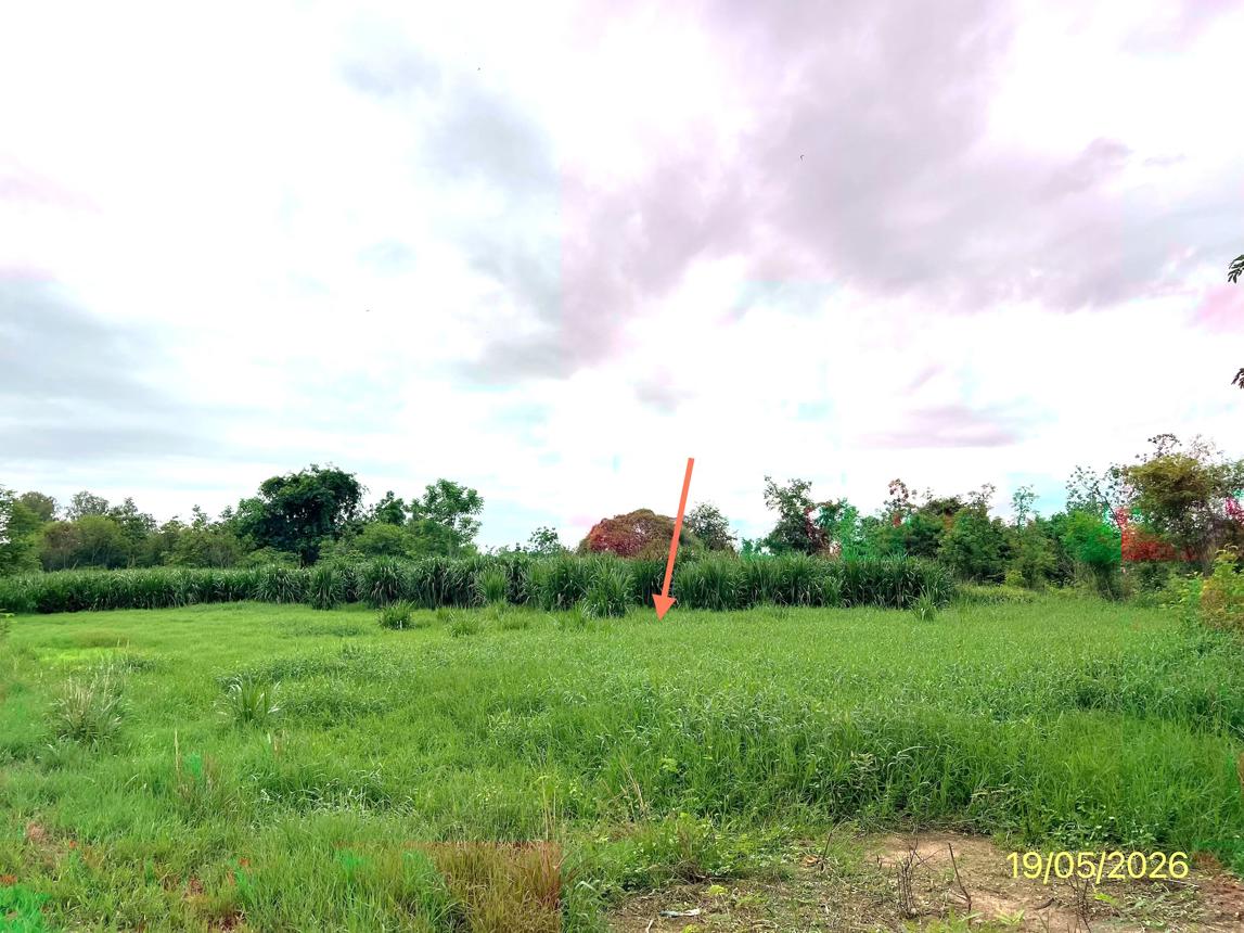 picture LAND 7131 Sq.w. Pak Tho Ratchburi for 3.2M - 9/14