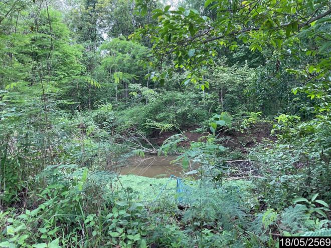 รูป ที่ดินว่างเปล่า 3487 ตร.วา นากลาง หนองบัวลำภู 2.1M - รูปที่ 9/22