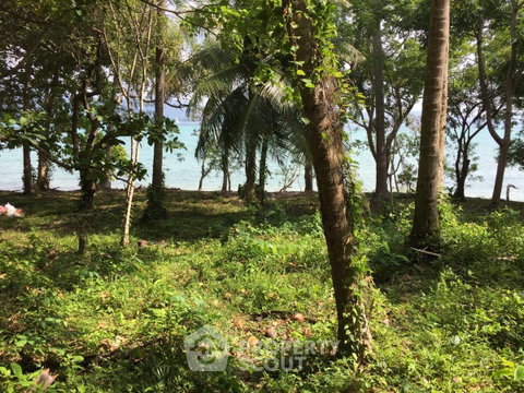 56,000 m² Land for Sale in Rawai (ID 2991360)