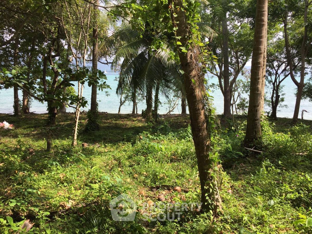 picture 56,000 m² Land for Sale in Rawai (ID 2991360) - 1/3