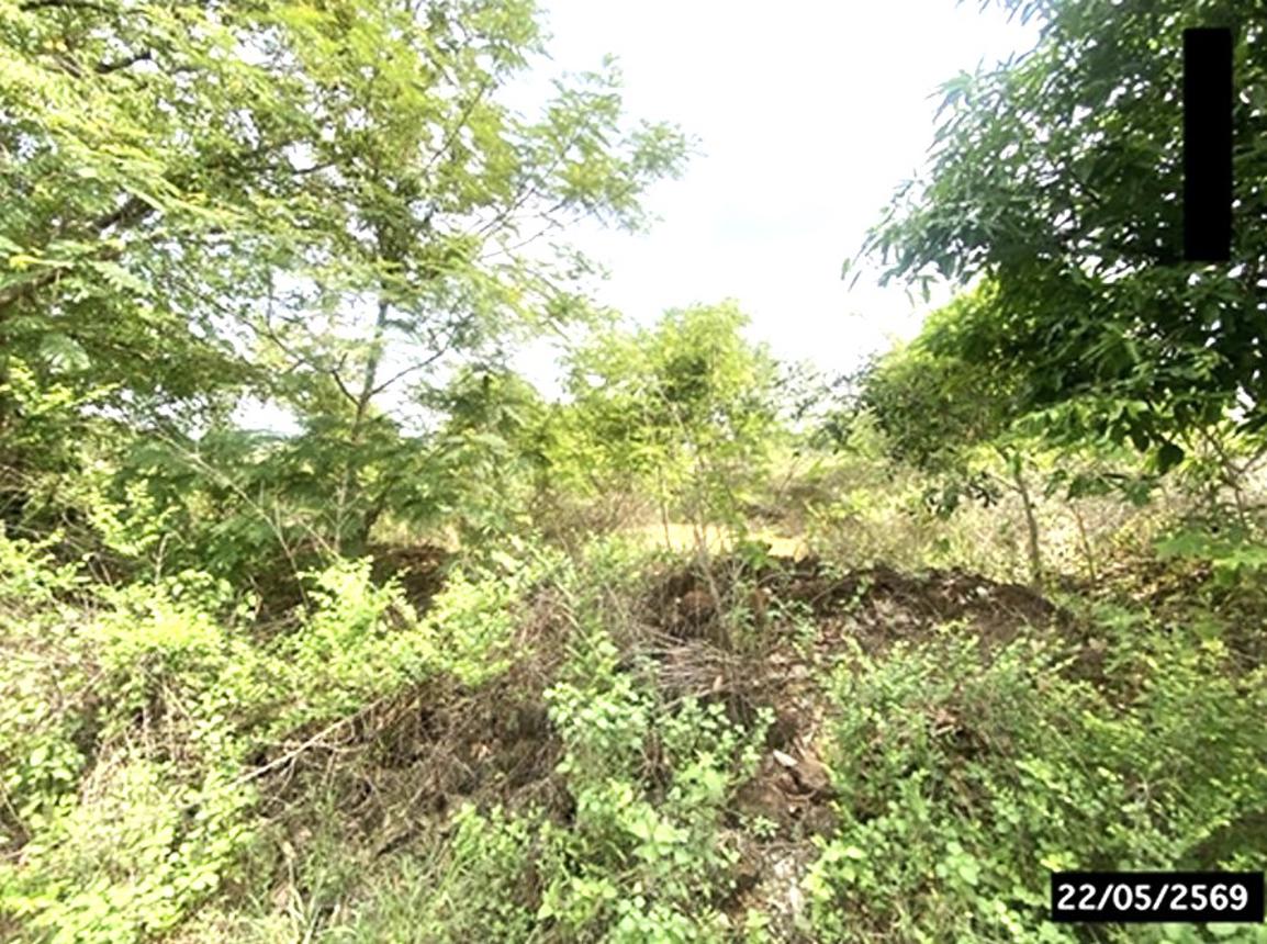 picture LAND 4800 Sq.w. Thung Fon Udon Thani for 1.9M - 19/24
