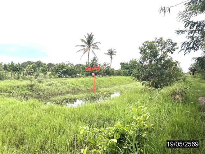 รูป ที่ดินว่างเปล่า 3745 ตร.วา เมืองกาฬสินธุ์ กาฬสินธุ์ 3M - รูปที่ 4/18