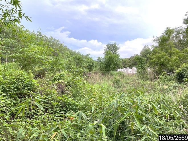 รูป ที่ดินว่างเปล่า 3487 ตร.วา นากลาง หนองบัวลำภู 2.1M - รูปที่ 5/22