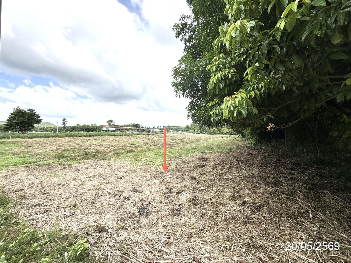 รูป ที่ดินว่างเปล่า 1646 ตร.วา เมืองมุกดาหาร มุกดาหาร 1.3M - รูปที่ 11/20