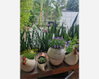 listing thumbnail image 7
