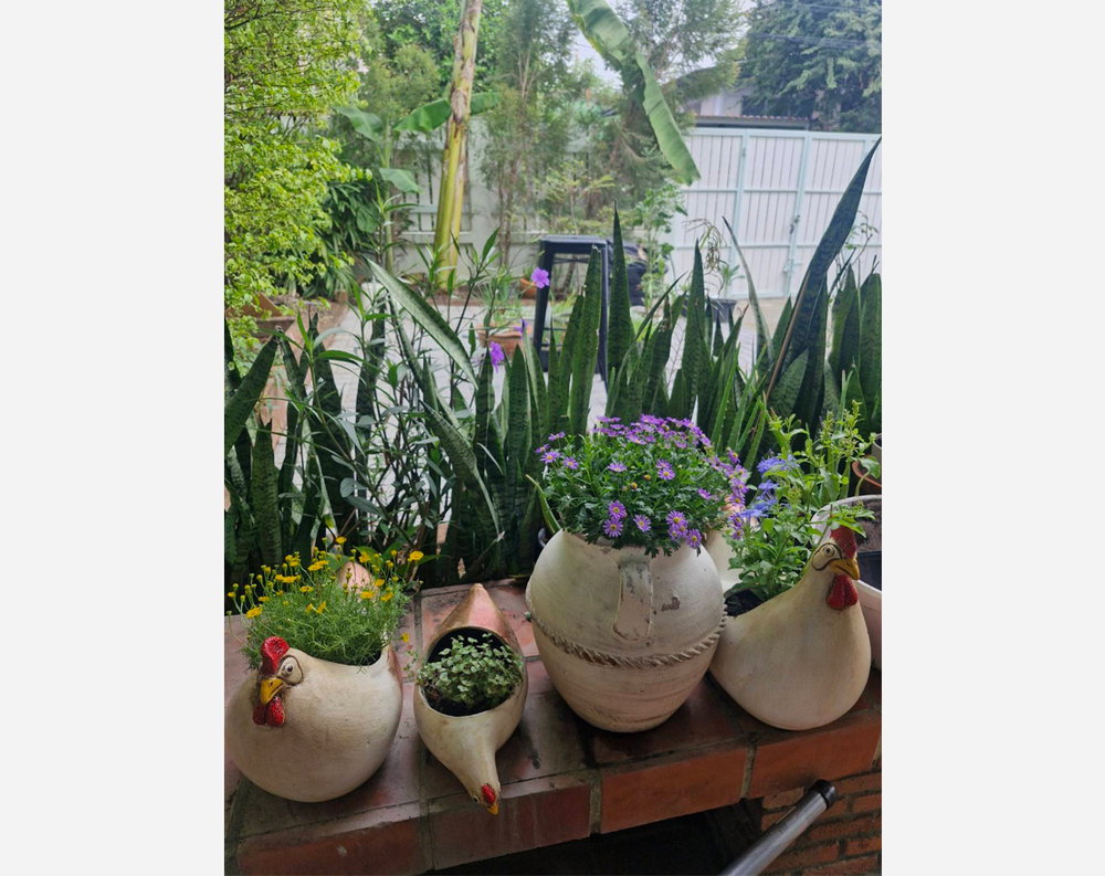 รูป Call : 089-112-4283 หมู่บ้านประชานิเวศน์ 3 เมืองนนทบุรี บ้านเดี่ยว 38 ตารางวา 2 นอน 2 น้ำ ใกล้รถไฟฟ้าสีชมพู สนามบินน้ำ - รูปที่ 8/10