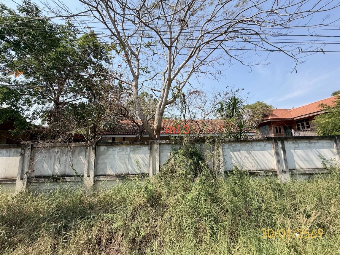 รูป บ้านเดี่ยว 1200 ตร.วา หนองเสือ ปทุมธานี 10M - รูปที่ 13/20