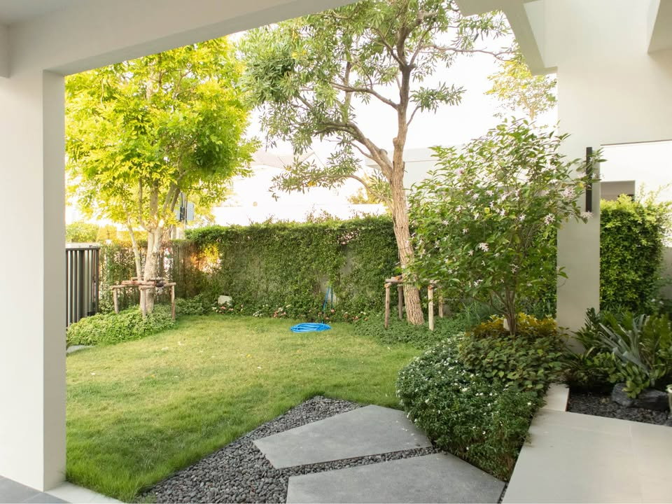 รูป HR3532ให้เช่าบ้านใหม่หรูหลังมุม มัณฑนา บางนา กม.15 (Mantana Bangna Km.15) ที่ดินใหญ่ 102 ตร.วา วิวต้นไม้ร่มรื่น ใกล้ Mega Bangna - รูปที่ 23/30