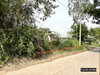 listing thumbnail image 7