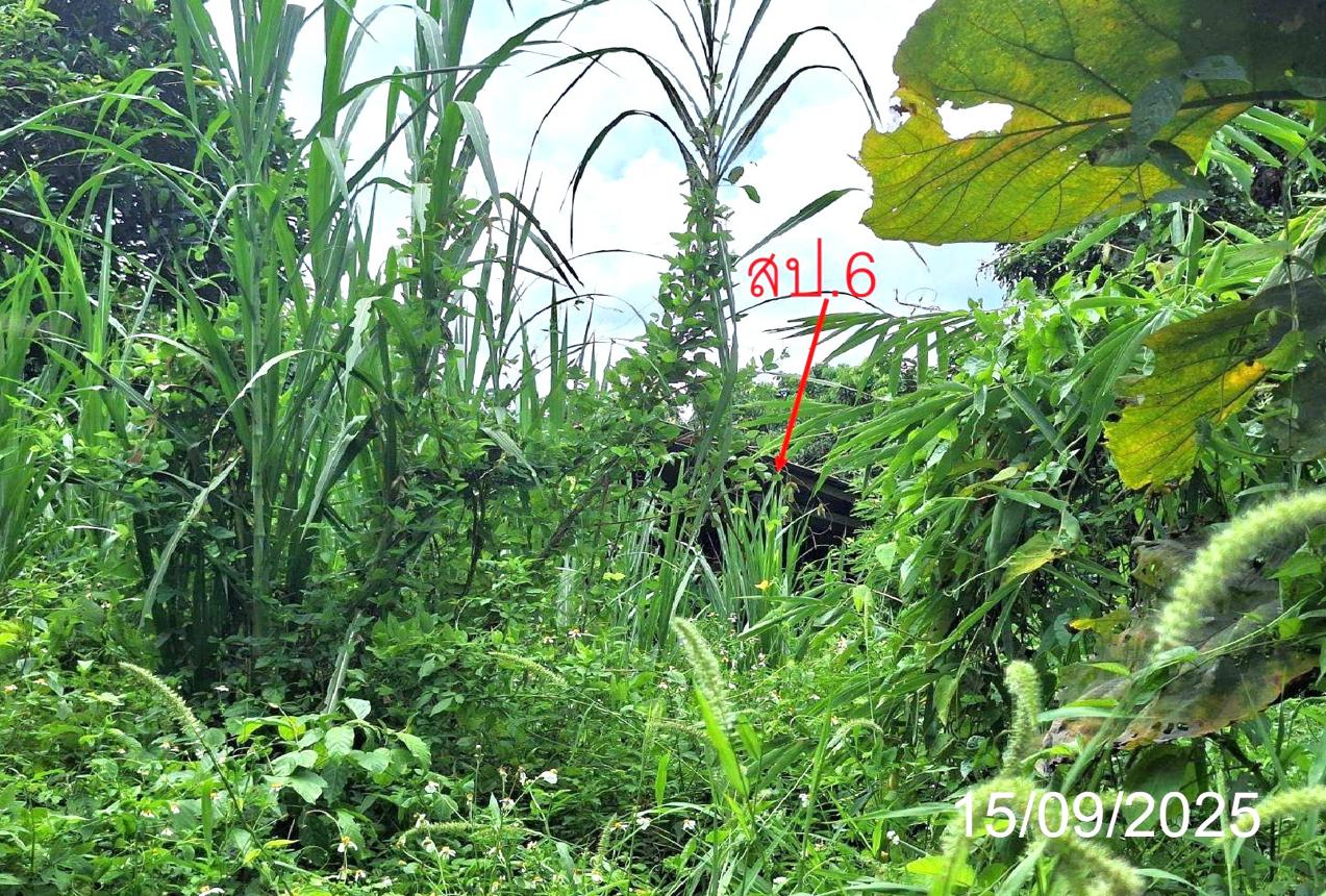 picture HOME 577 Sq.w. Soem Ngam Lamphang for 3.2M - 14/20