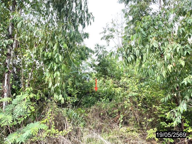 รูป ที่ดินว่างเปล่า 2478 ตร.วา เมืองกาฬสินธุ์ กาฬสินธุ์ 735,000 - รูปที่ 4/16