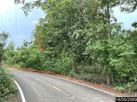 รูป ที่ดินว่างเปล่า 3487 ตร.วา นากลาง หนองบัวลำภู 2.1M - รูปที่ 19/22