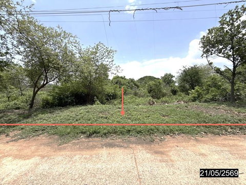 LAND 10280 Sq.w. Yang Talat Kalasin for 11M