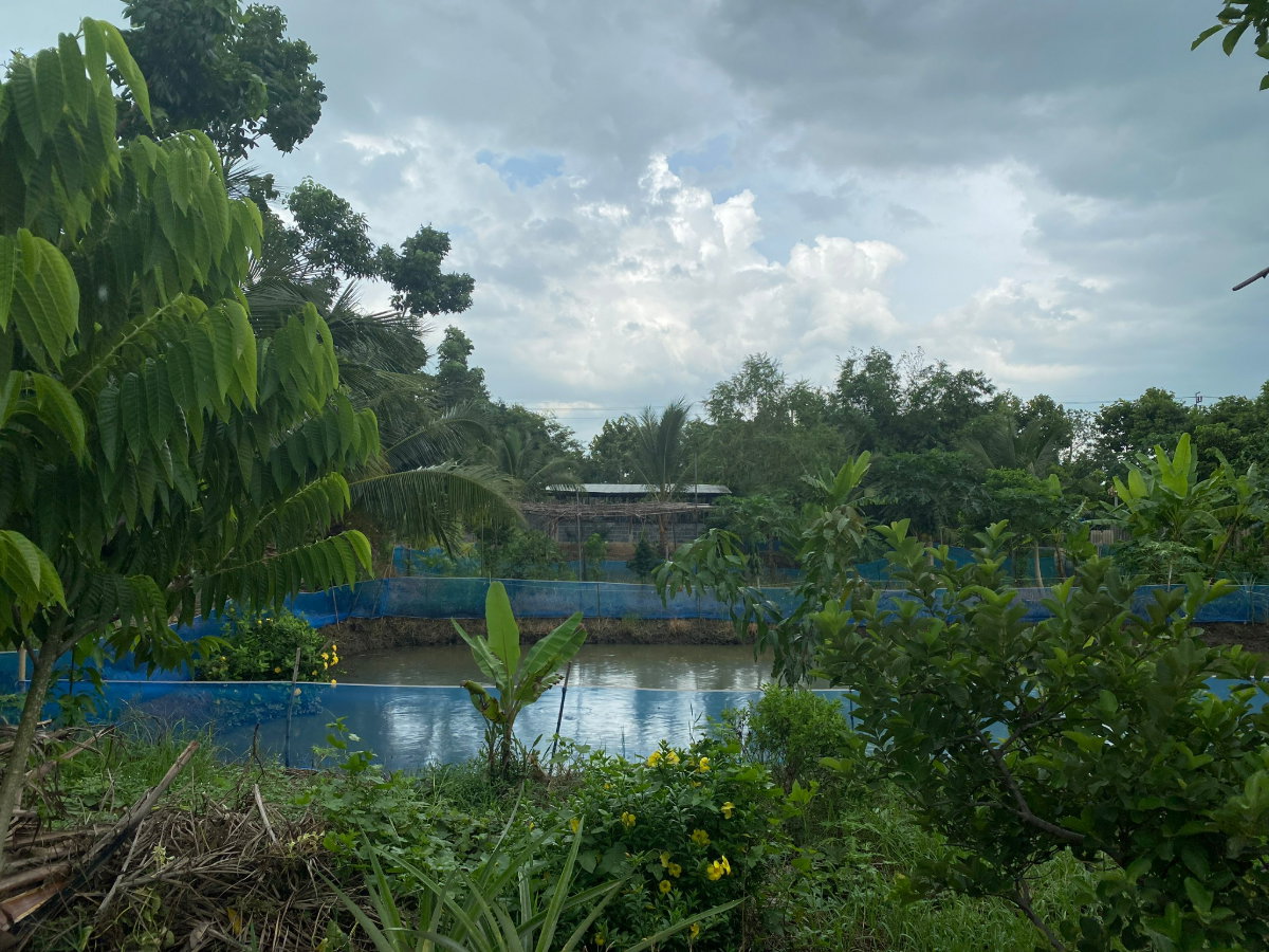 รูป ขายที่ดินพร้อมบ้าน โคกหนองนา มิตรไมตรี 6 หนองจอก มีนบุรี บ่อเลี้ยงปลา เลี้ยงไก่ ต้นไม้นานาชนิด - รูปที่ 5/8
