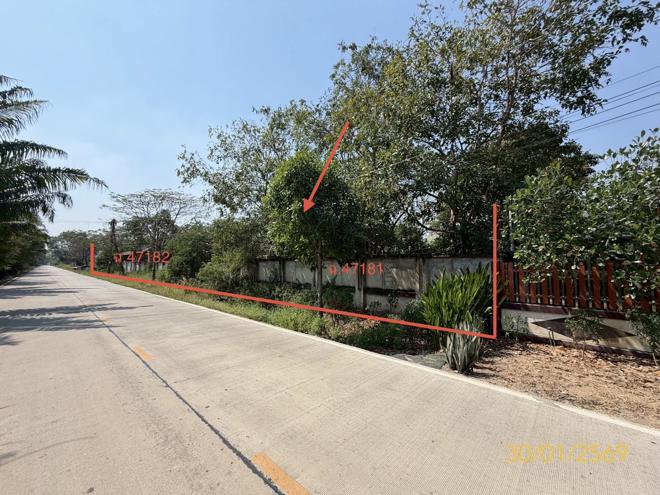 รูป บ้านเดี่ยว 1200 ตร.วา หนองเสือ ปทุมธานี 10M - รูปที่ 2/20