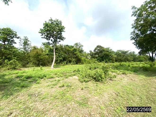 picture LAND 4800 Sq.w. Thung Fon Udon Thani for 1.9M - 8/24