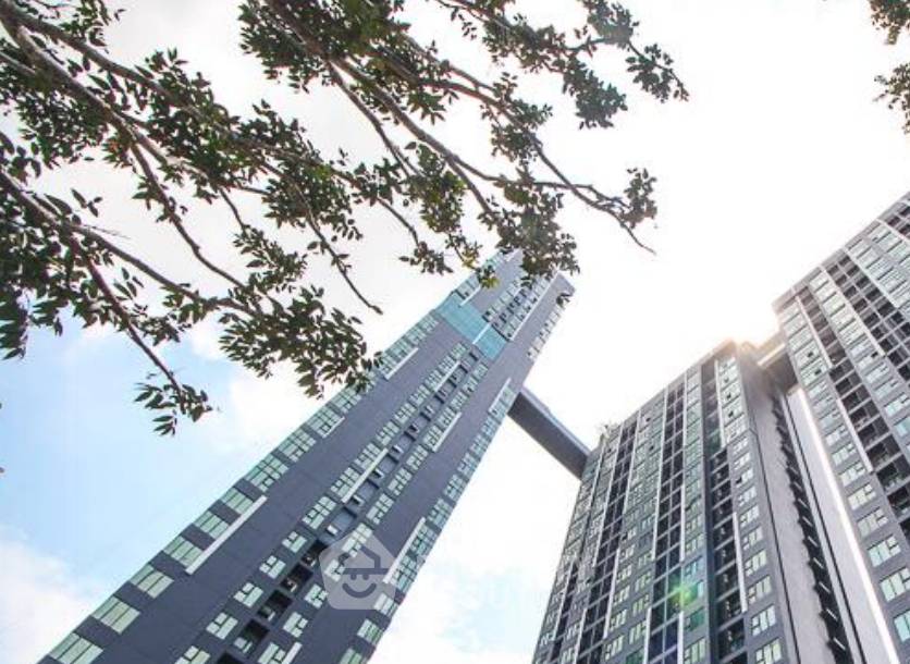 picture 1-BR Condo at Modiz Sukhumvit 50 near BTS On Nut (ID 3008589) - 4/6