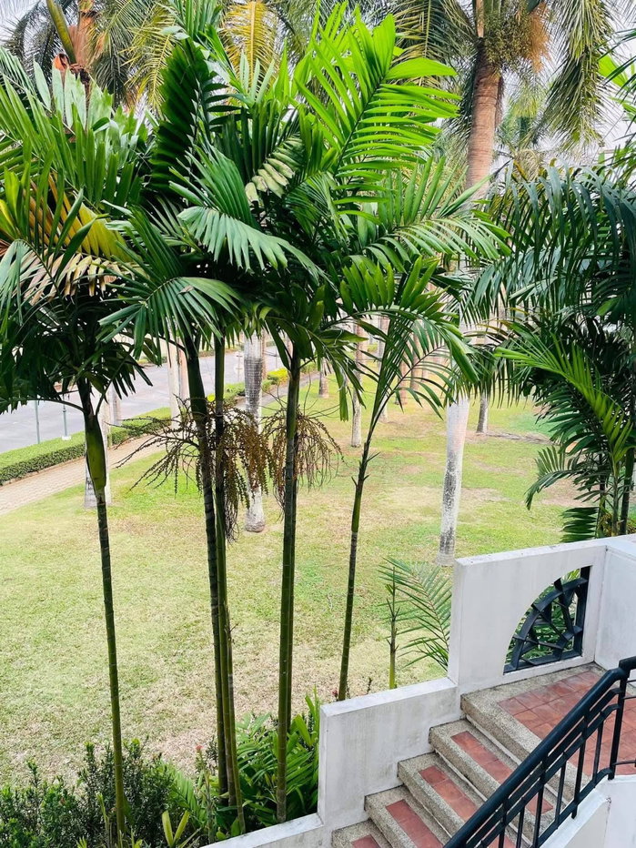 picture 3-story townhome for rent near Waree School - 14/15