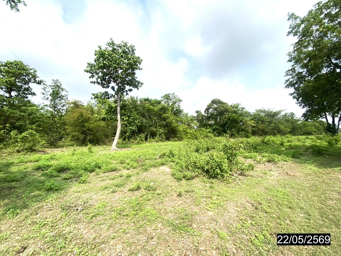 picture LAND 4800 Sq.w. Thung Fon Udon Thani for 1.9M - 18/24
