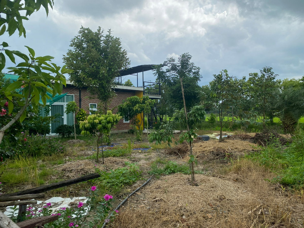 รูป ขายที่ดินพร้อมบ้าน โคกหนองนา มิตรไมตรี 6 หนองจอก มีนบุรี บ่อเลี้ยงปลา เลี้ยงไก่ ต้นไม้นานาชนิด - รูปที่ 2/8