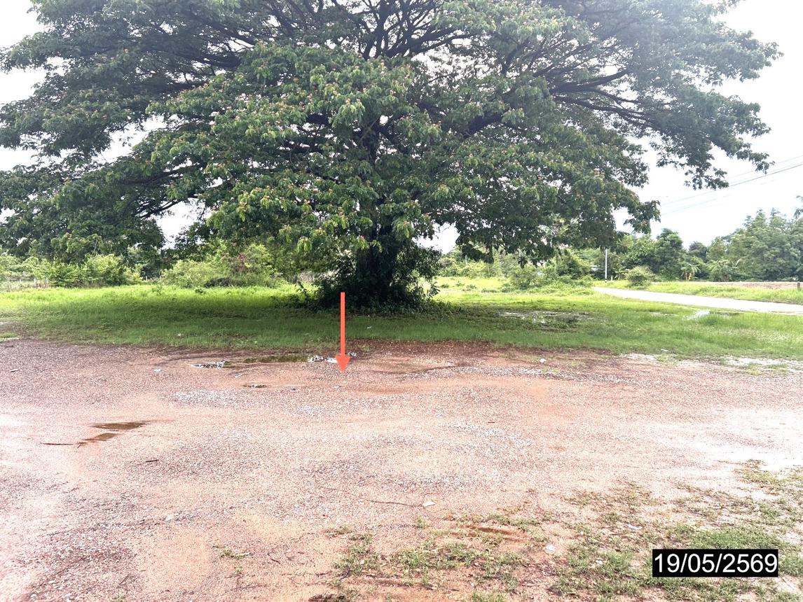 รูป ที่ดินว่างเปล่า 3745 ตร.วา เมืองกาฬสินธุ์ กาฬสินธุ์ 3M - รูปที่ 10/18