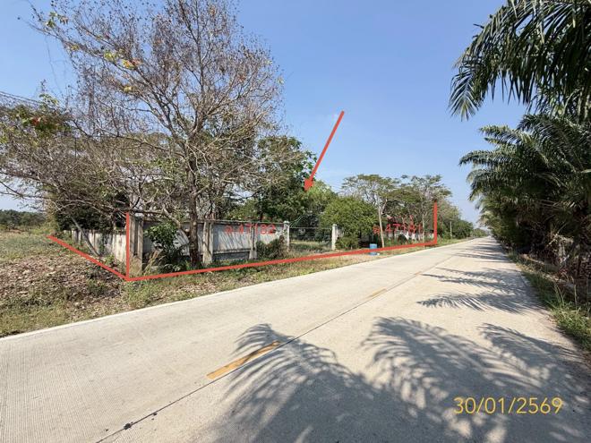 รูป บ้านเดี่ยว 1200 ตร.วา หนองเสือ ปทุมธานี 10M - รูปที่ 1/20
