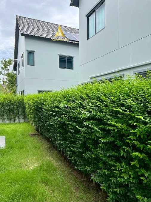 รูป ให้เช่าบ้านเดี่ยว หมู่บ้านสราญสิริ เวสต์เกต บ้านมีเฟอร์ รับสัตว์เลี้ยง ใกล้ร.ร.กสิณธร  - รูปที่ 6/13