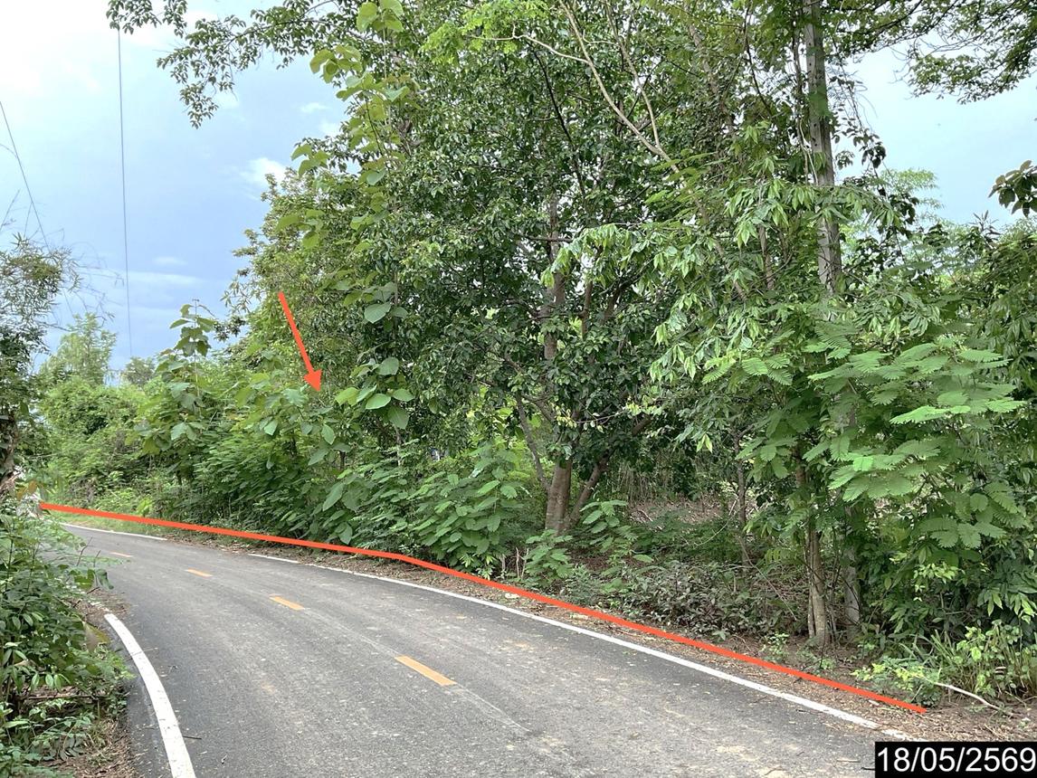 รูป ที่ดินว่างเปล่า 3487 ตร.วา นากลาง หนองบัวลำภู 2.1M - รูปที่ 10/22
