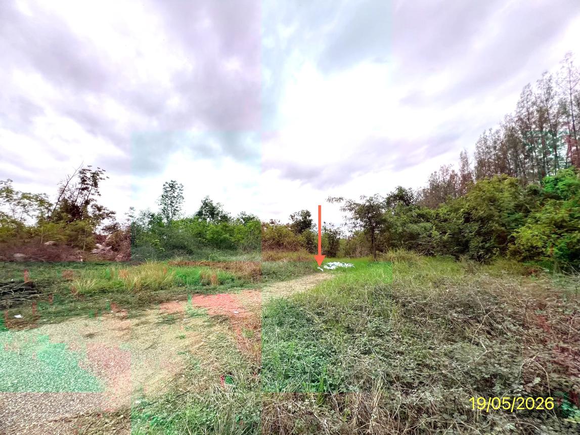 picture LAND 7131 Sq.w. Pak Tho Ratchburi for 3.2M - 8/14