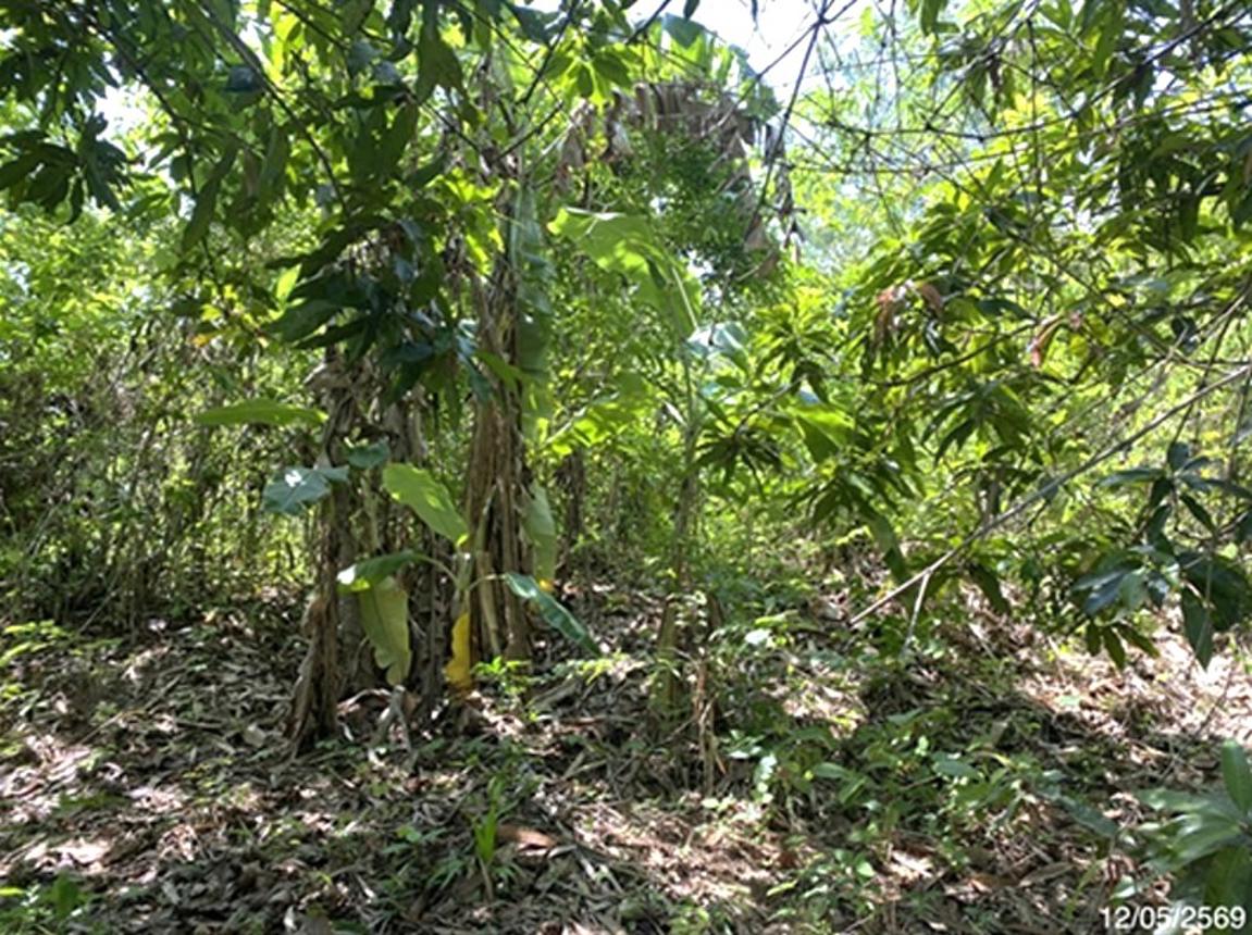 picture HOME 1374.9 Sq.w. Muang Satun Satun for 6.2M - 16/20