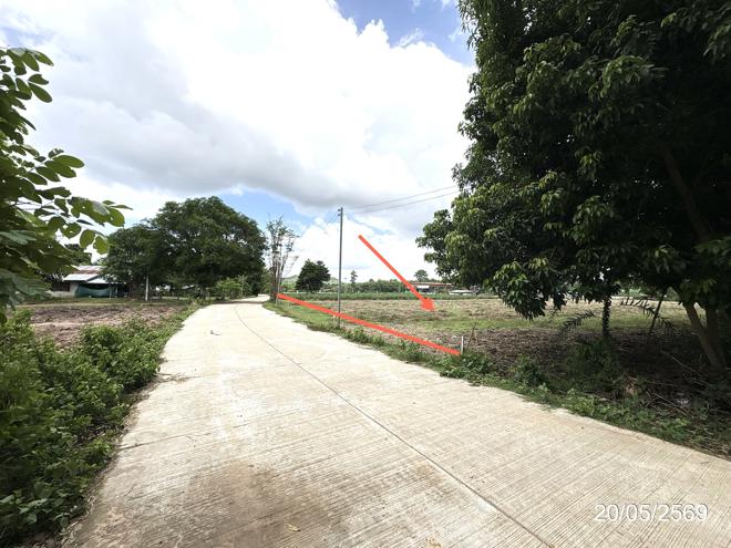 รูป ที่ดินว่างเปล่า 1646 ตร.วา เมืองมุกดาหาร มุกดาหาร 1.3M - รูปที่ 6/20