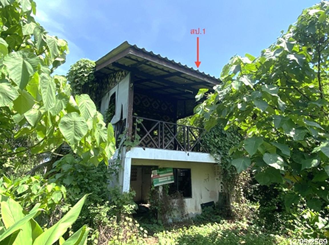 picture HOME 1374.9 Sq.w. Muang Satun Satun for 6.2M - 9/20