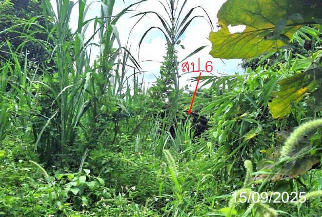 picture HOME 577 Sq.w. Soem Ngam Lamphang for 3.2M - 6/20