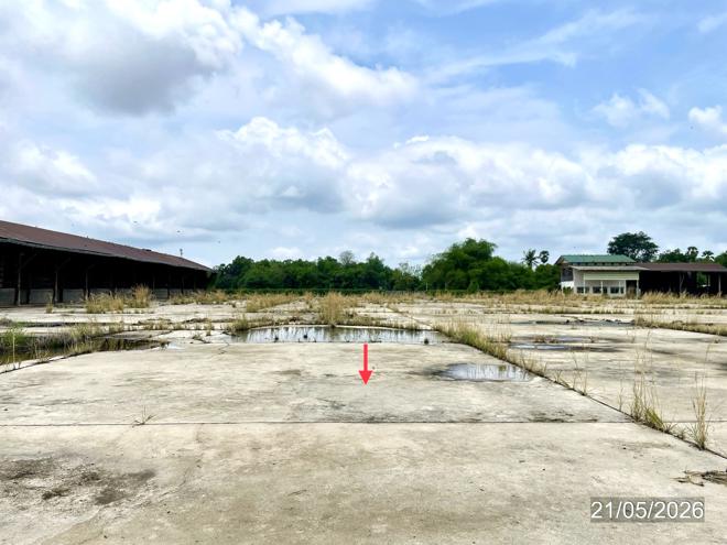 picture FACTORY 5006 Sq.w. Pho Prathap Chang Phichit for 5.8M - 17/40