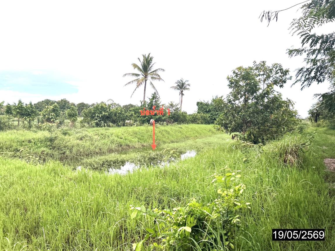 รูป ที่ดินว่างเปล่า 3745 ตร.วา เมืองกาฬสินธุ์ กาฬสินธุ์ 3M - รูปที่ 11/18