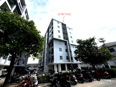 ขายคอนโด : คอนโดมิเนียม 31.4 ตร.ม. ซัน คอนโด ศรีราชา ชลบุรี 1.4M