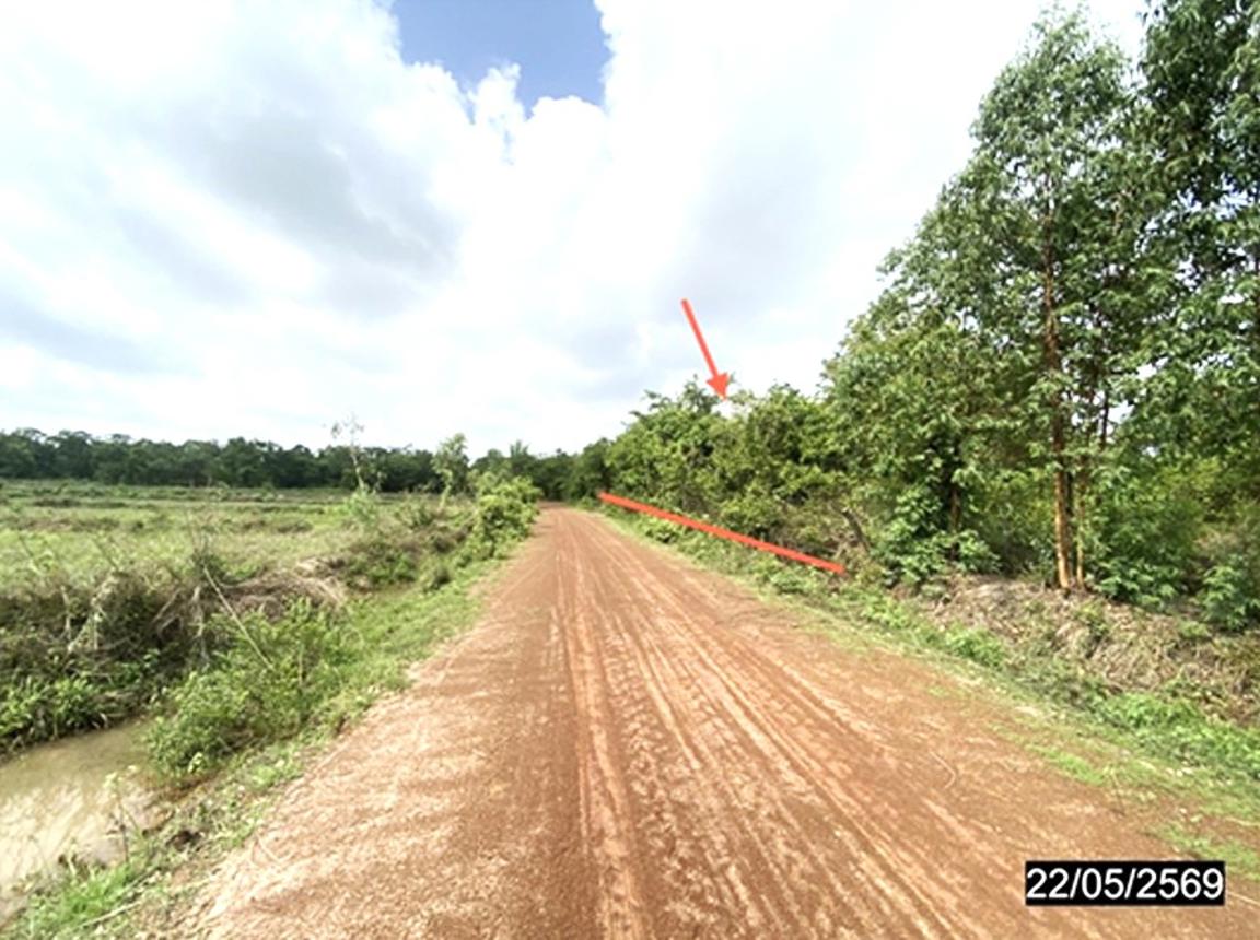 picture LAND 4800 Sq.w. Thung Fon Udon Thani for 1.9M - 20/24