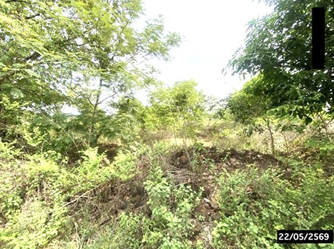 picture LAND 4800 Sq.w. Thung Fon Udon Thani for 1.9M - 9/24