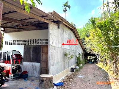 บ้านเดี่ยว สุราษฎร์ธานี : บ้านเดี่ยว 123.9 ตร.วา ชัยบุรี สุราษฎร์ธานี 731,000