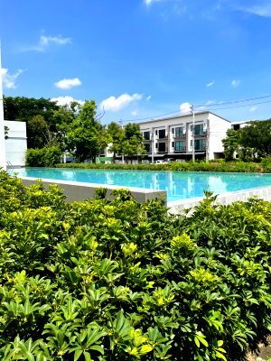 Townhouses for rent Nonthaburi : ✨ [FOR RENT] Beautifully Furnished Townhome – Ready to Move In! ✨ 