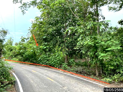 ขายที่ดิน : ที่ดินว่างเปล่า 3487 ตร.วา นากลาง หนองบัวลำภู 2.1M