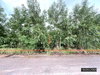 listing thumbnail image 12