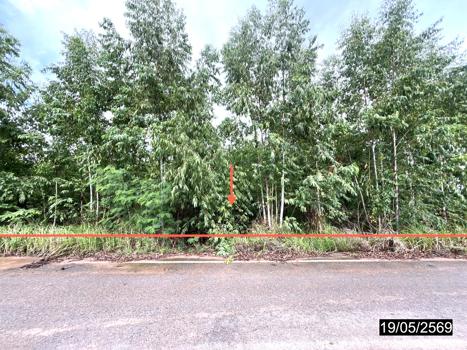 รูป ที่ดินว่างเปล่า 2478 ตร.วา เมืองกาฬสินธุ์ กาฬสินธุ์ 735,000 - รูปที่ 13/16