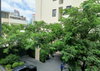 listing thumbnail image 16