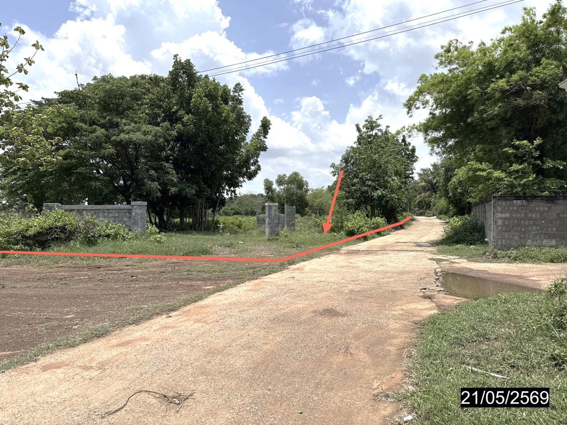 picture LAND 10280 Sq.w. Yang Talat Kalasin for 14.9M - 12/24