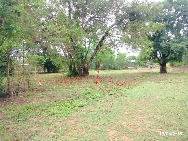 รูป ที่ดินว่างเปล่า 952 ตร.วา วาริชภูมิ สกลนคร 1.3M - รูปที่ 5/18